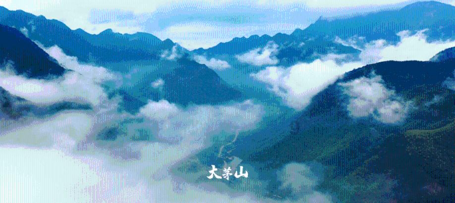 同色彩相撞