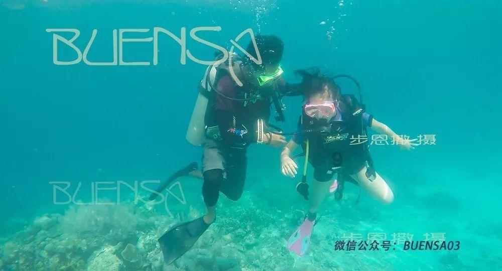 小猫钓鱼正版下载中文版